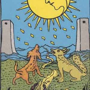 Tarot-18 Moon