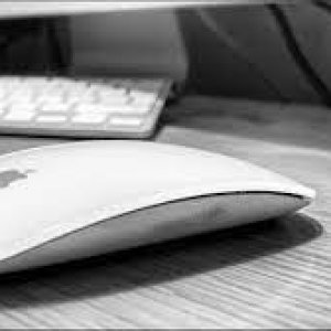 Apple Mouse