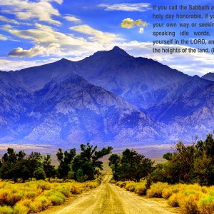 2465-Beautiful-Mountain-Road-001