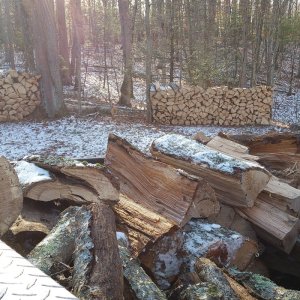 wood.jpg