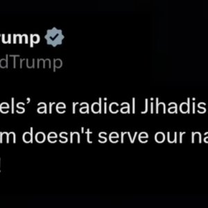 Trump anti Syrian comments.jpg