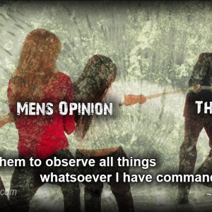 opinion.jpg