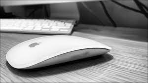 Apple Mouse