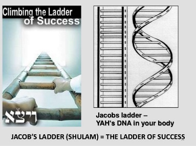 Jacob's Ladder