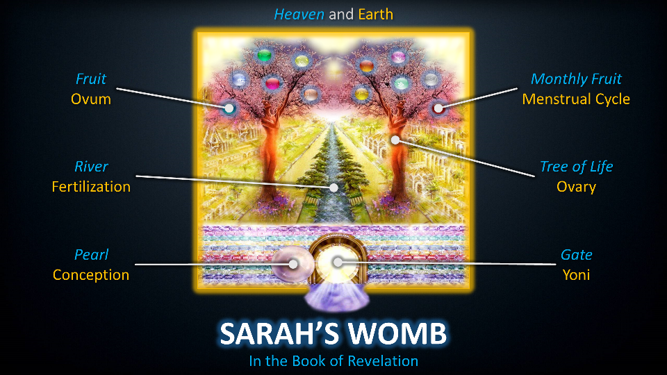 Sarah's Womb