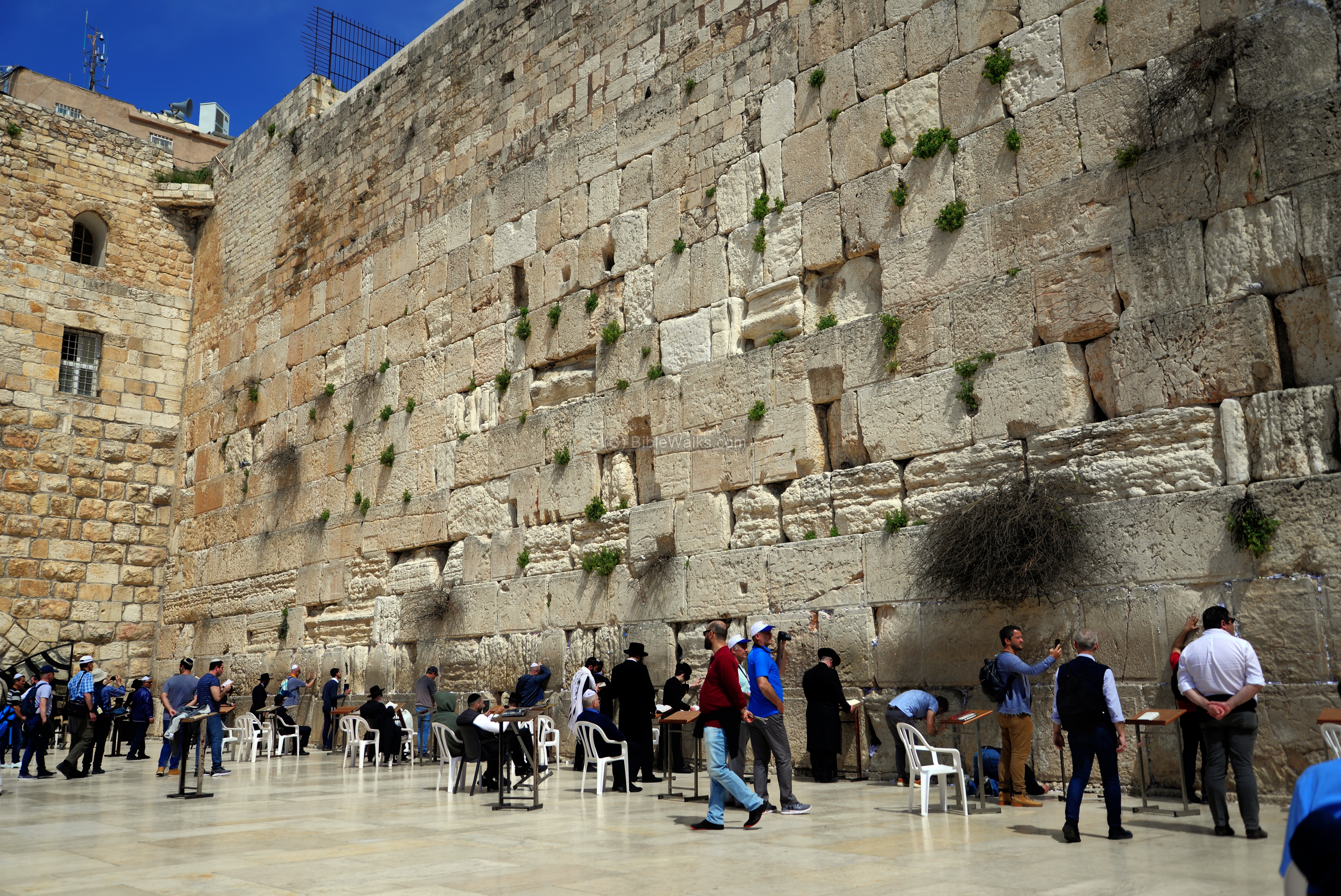 Wailing Wall