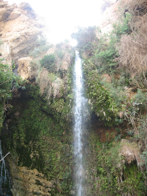 Waterfall at En Gedi