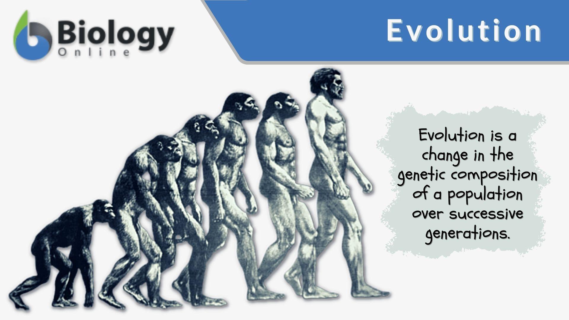 www.biologyonline.com