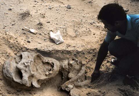 big_nephilim01.jpg