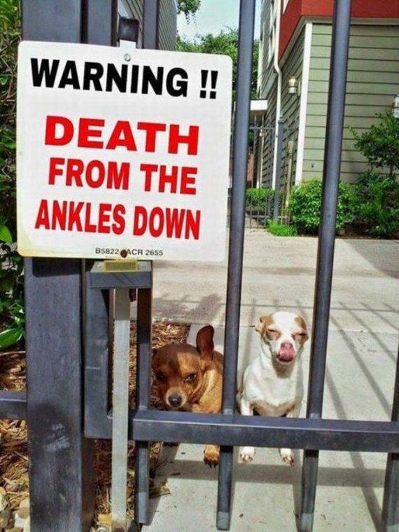 70-Funny-Pictures-1589.jpg
