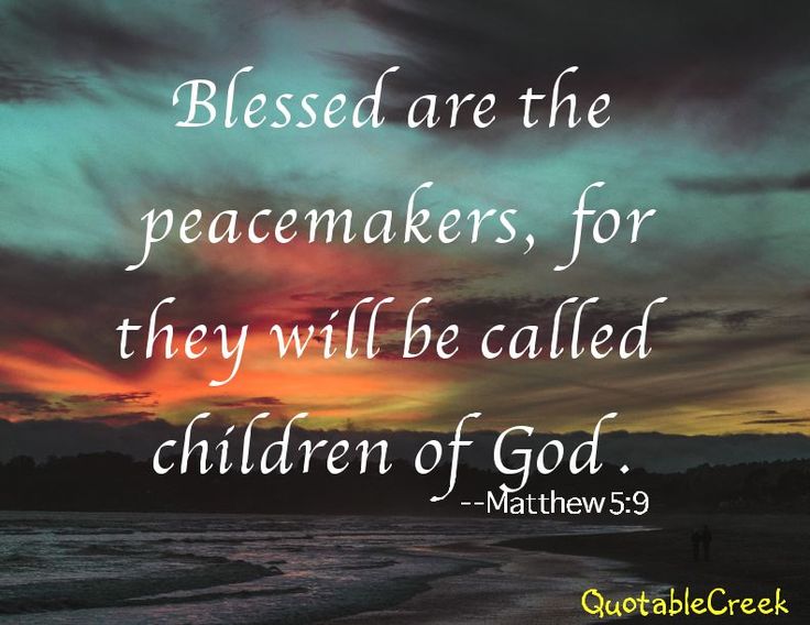 196575517440cf7728cc33afb1c63fad--the-peacemaker-police-wife.jpg