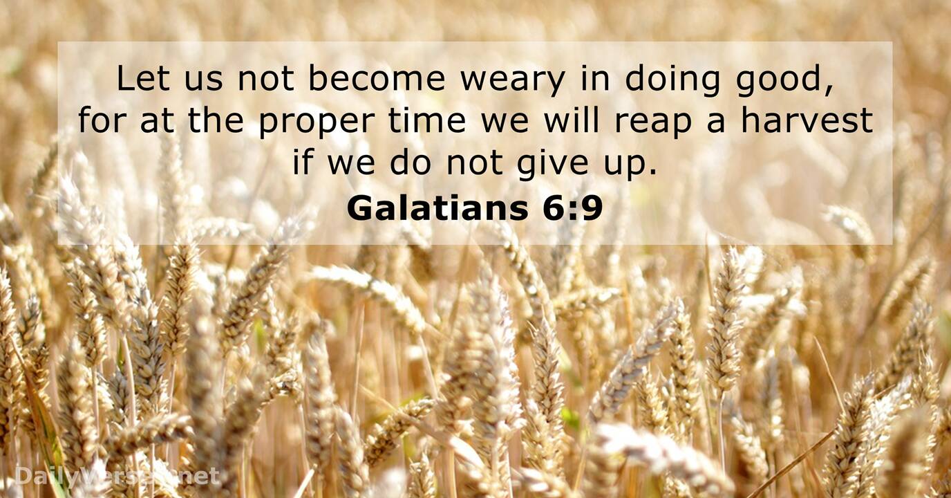 galatians-6-9.jpg
