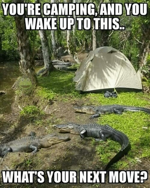 camping-meme-45.jpg