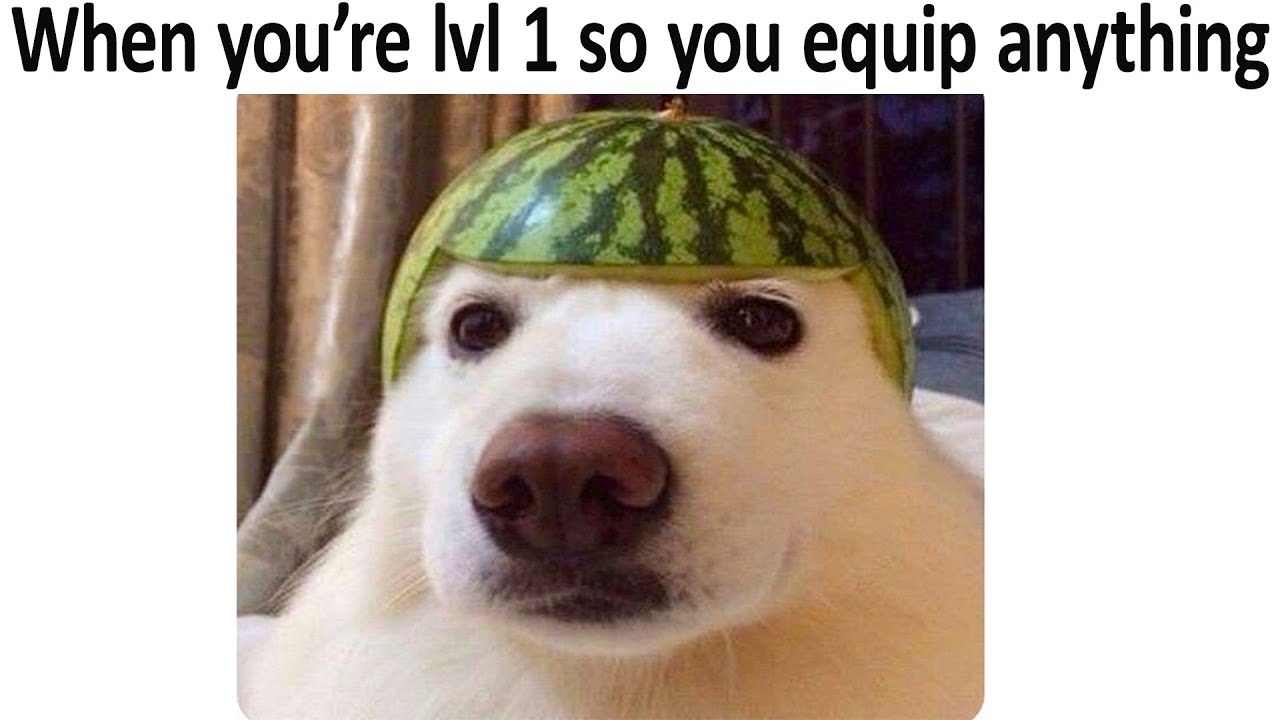 85917112.jpg