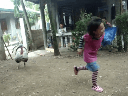 giphy.gif