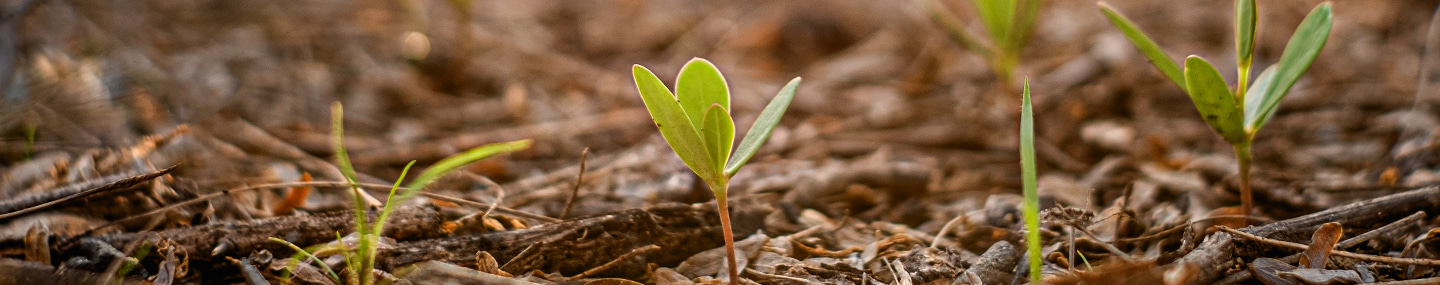 odb20220428.jpg