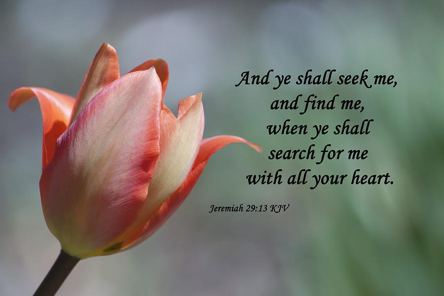 jeremiah-29-13-deborah-mclain.jpg