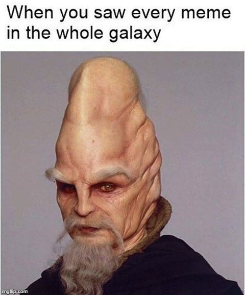 1lgqaj.jpg