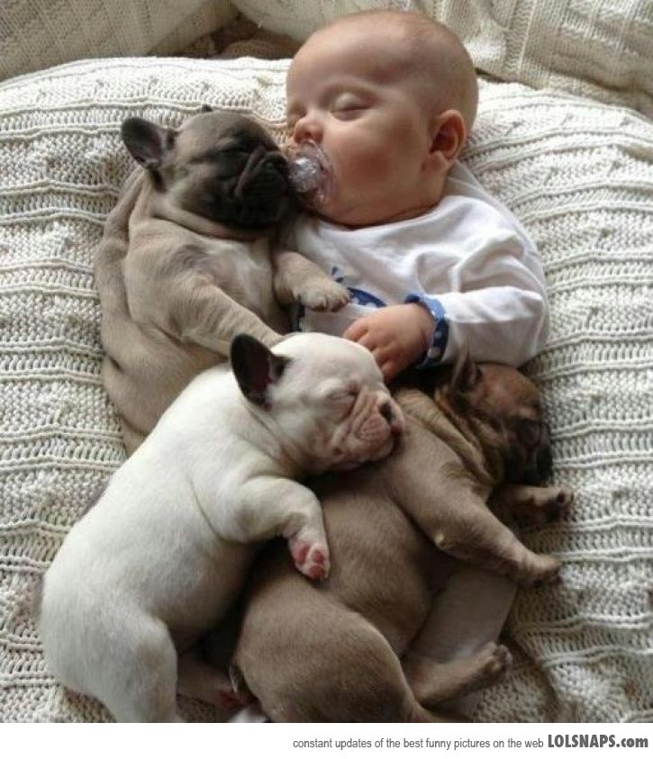 CutenessOverload-69121.jpg