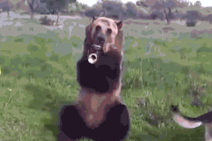 SBskYX.gif
