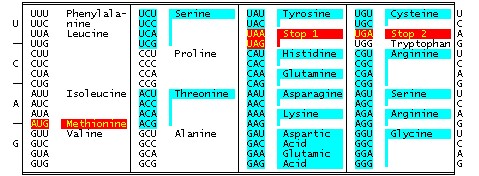 CHART2A.GIF