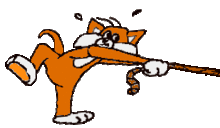 12137311.gif