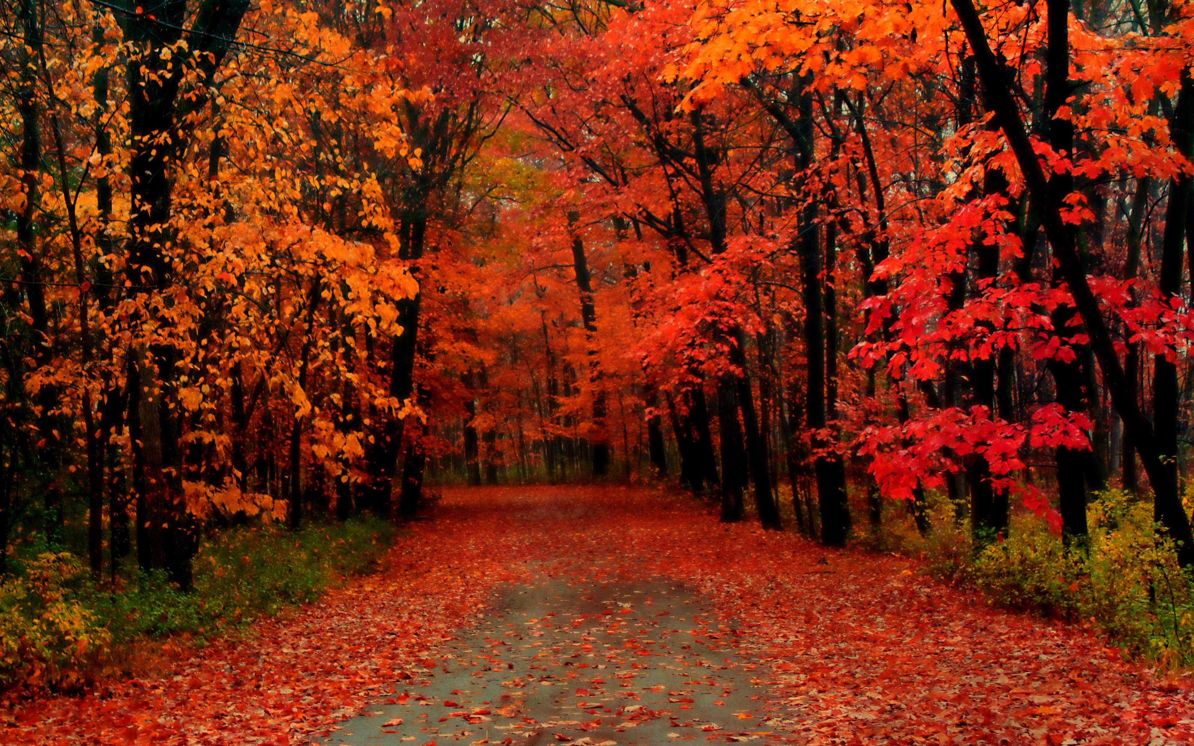first-day-of-autumn..jpg