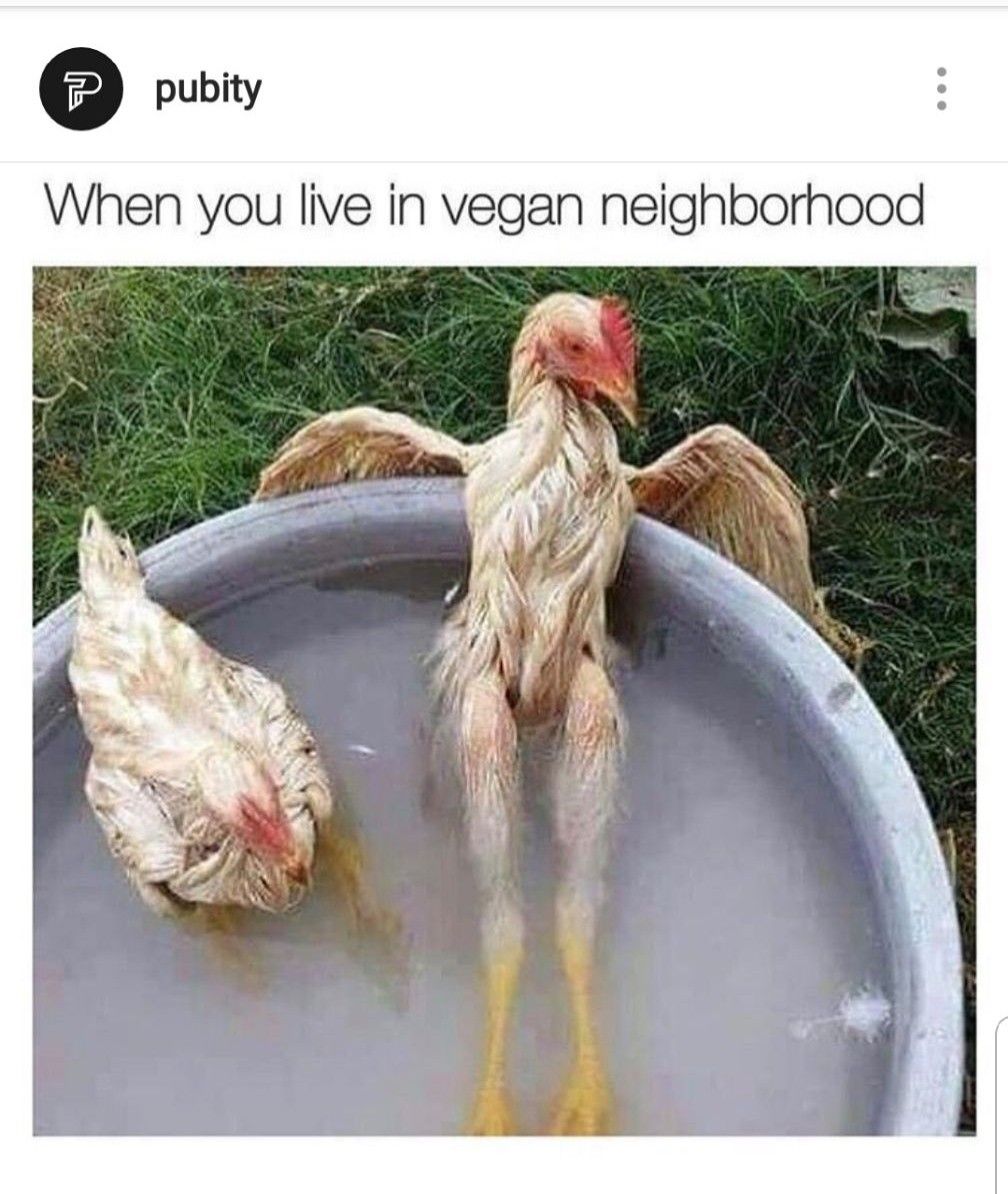 e9bff87f8c543e4682c532e308ef5d62.jpg