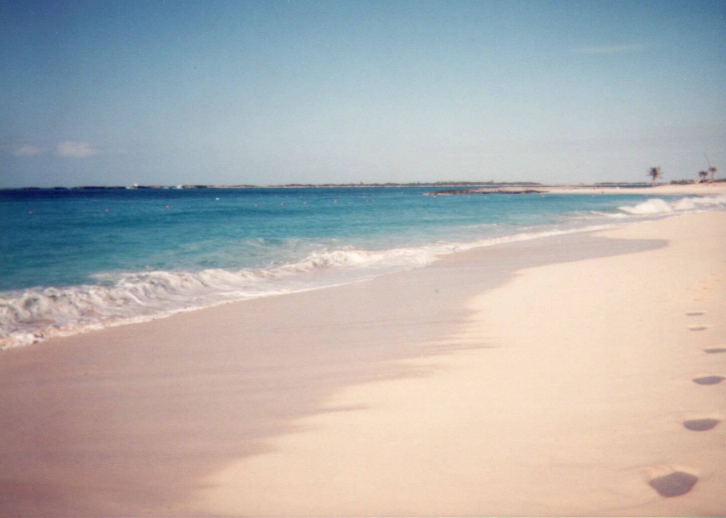 beach5.jpg