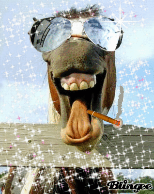 258543386_540037.gif