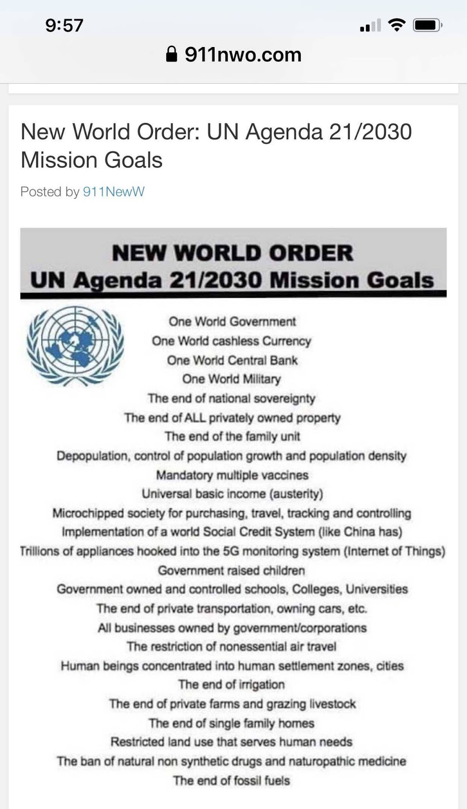 NWO-goals.jpg