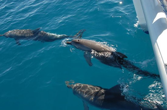fraser-island-sailing.jpg