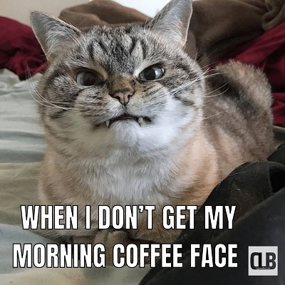cute-kitten-meme.jpg