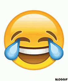 miscelania-laugh.gif