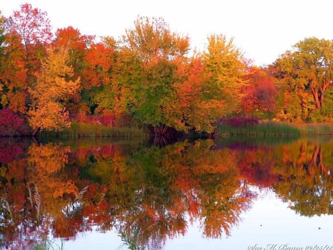 1412280553000-Fall-colors_1112903_ver1.0.jpg