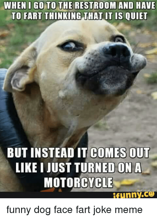 when-i-go-funny-dog-meme.png