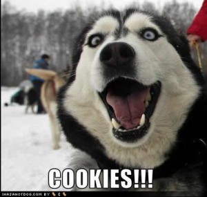 cookies-300x285.jpg
