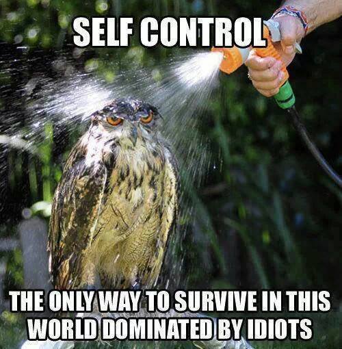 Funny-Memes---self-control.jpeg