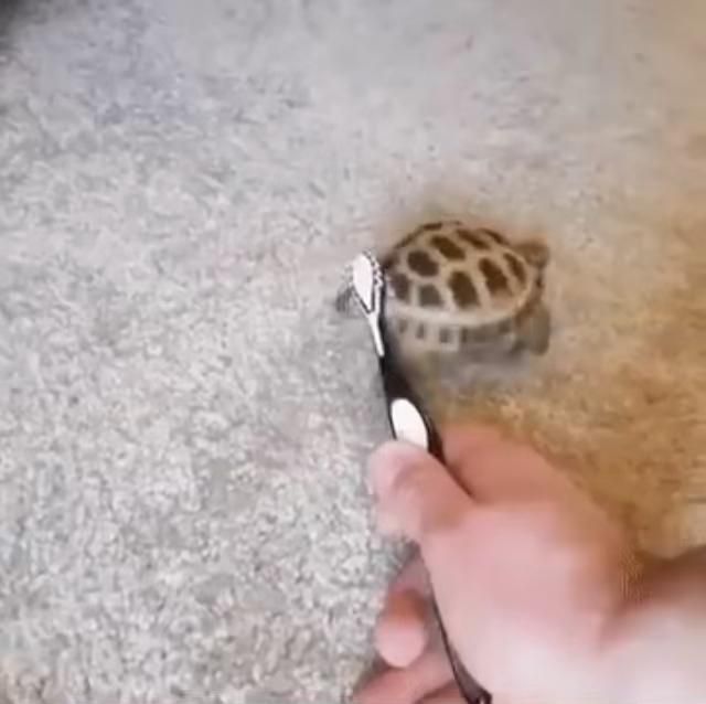 pin.it