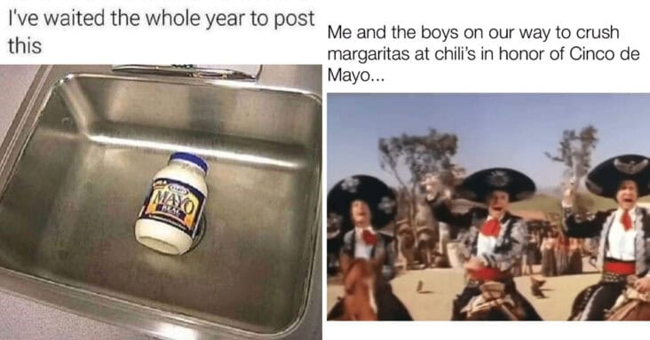 funniest-cinco-de-mayo-memes-732x383.jpg