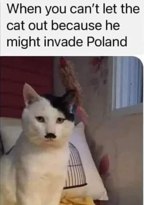 R6BXWfp.jpeg