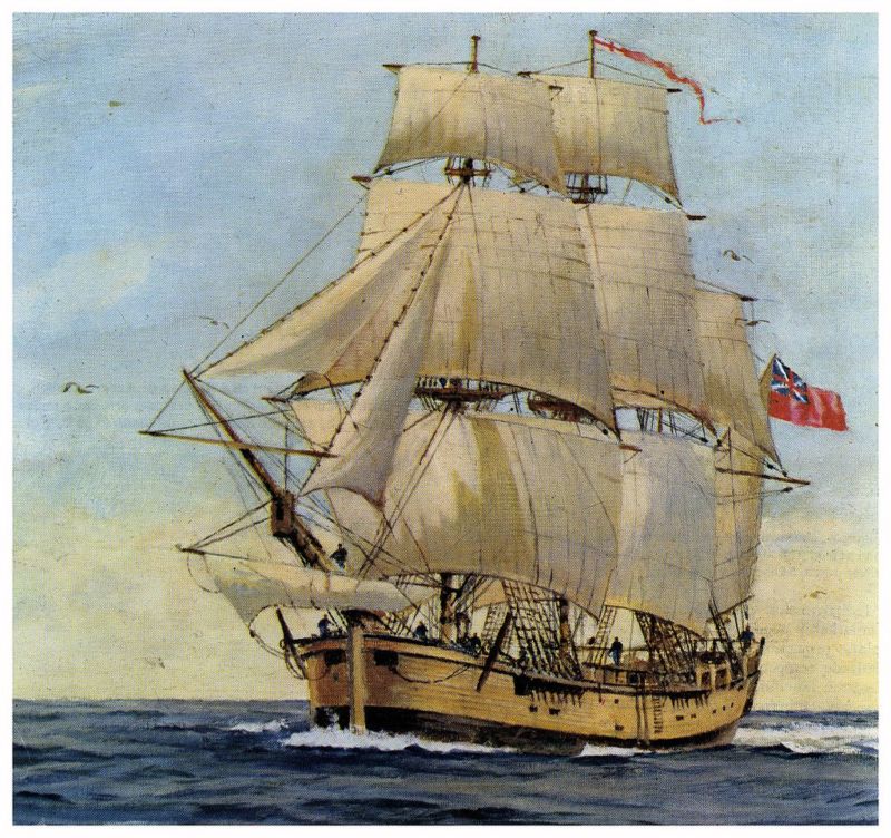 HMS_Endeavour_20340350738-800x752.jpg