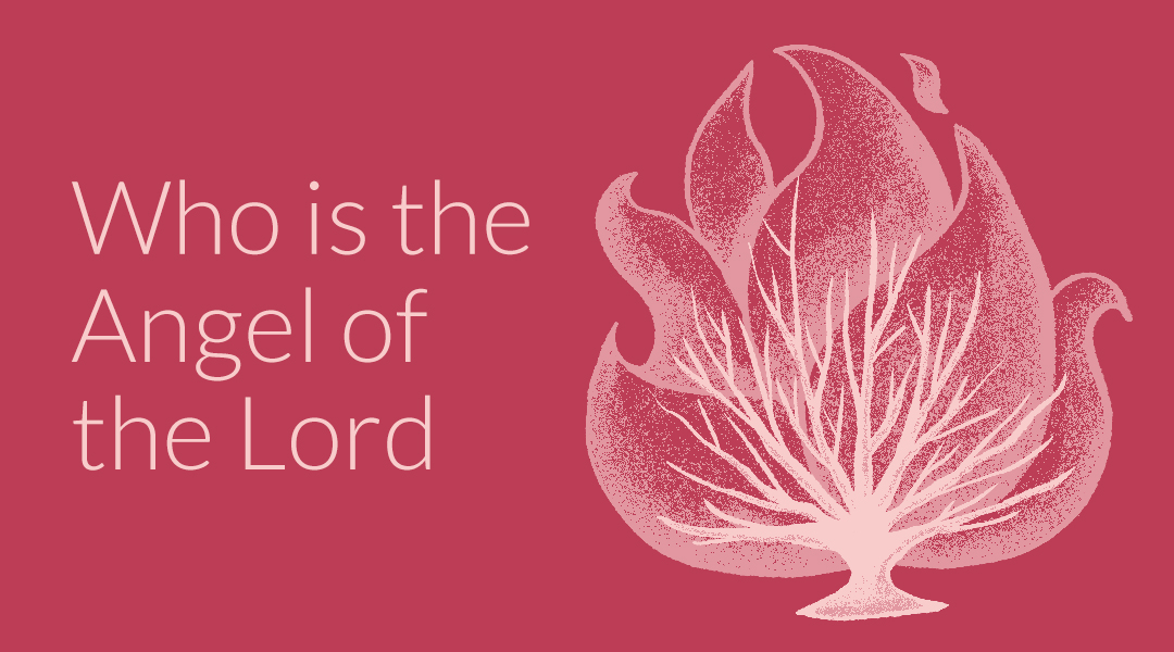 overviewbible.com