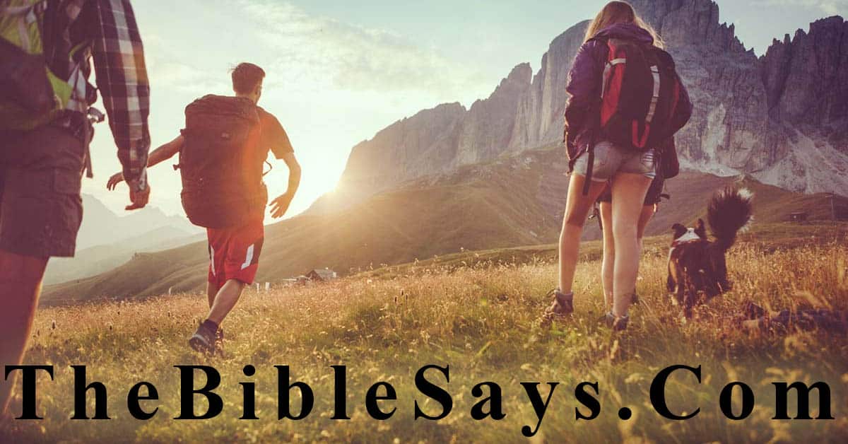 thebiblesays.com