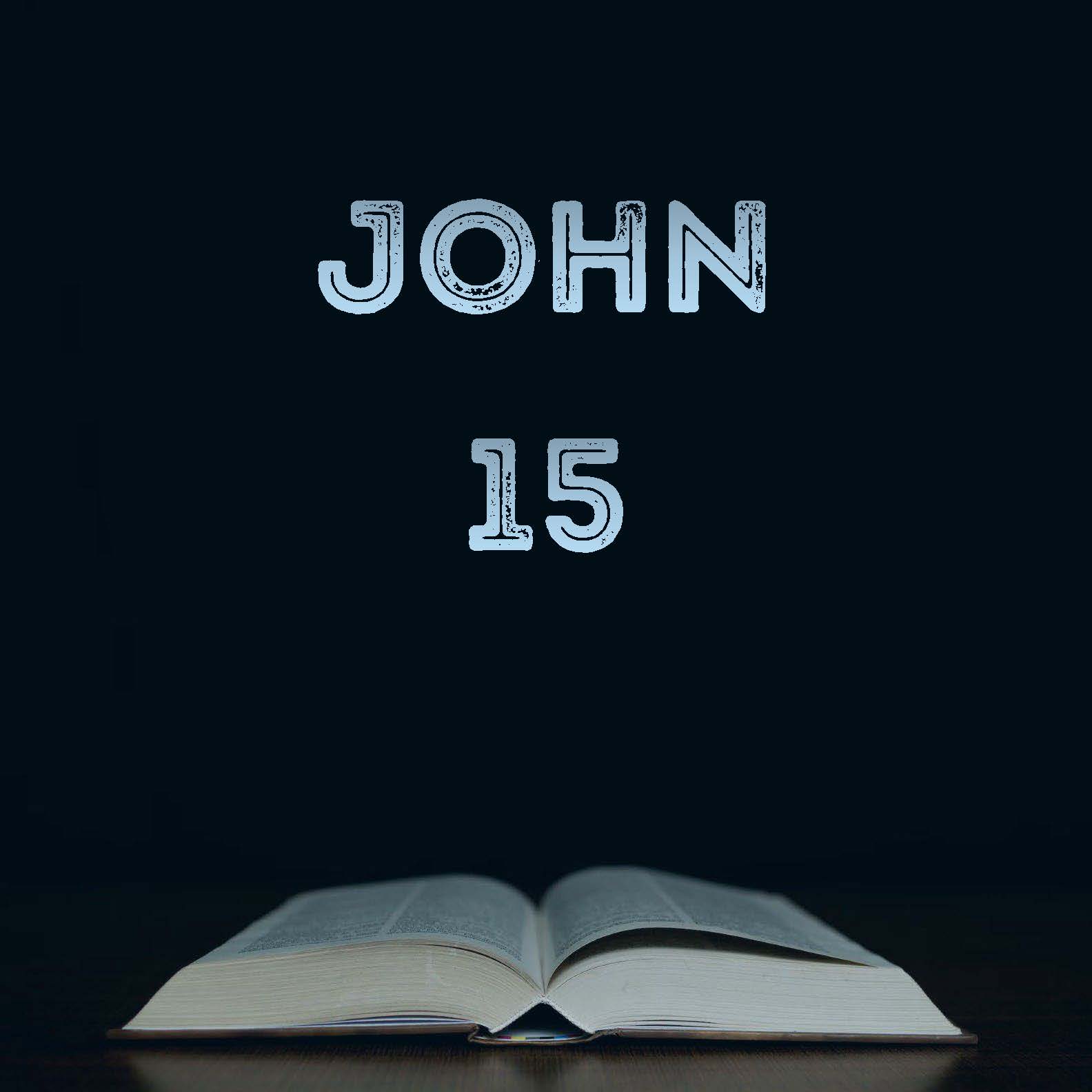 biblehub.com