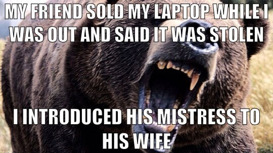 Funny-Angry-Bear-Face-Meme.jpg