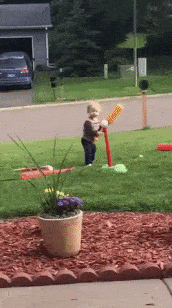 HelplessInsistentBlackandtancoonhound-size_restricted.gif