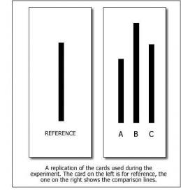 asch-experiment.jpg