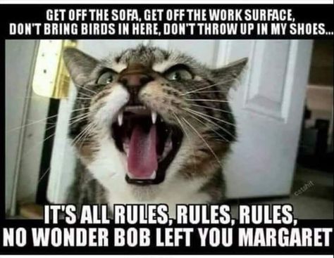 downloadfile-39.jpg