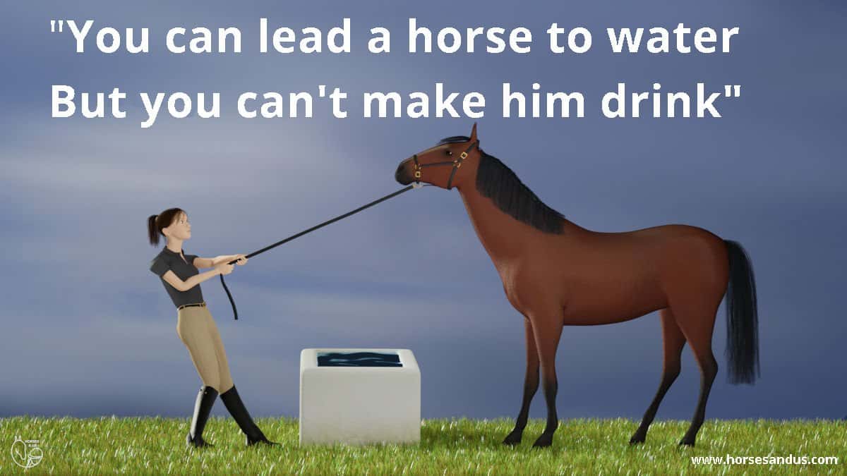 lead_horse-_to_water.jpg